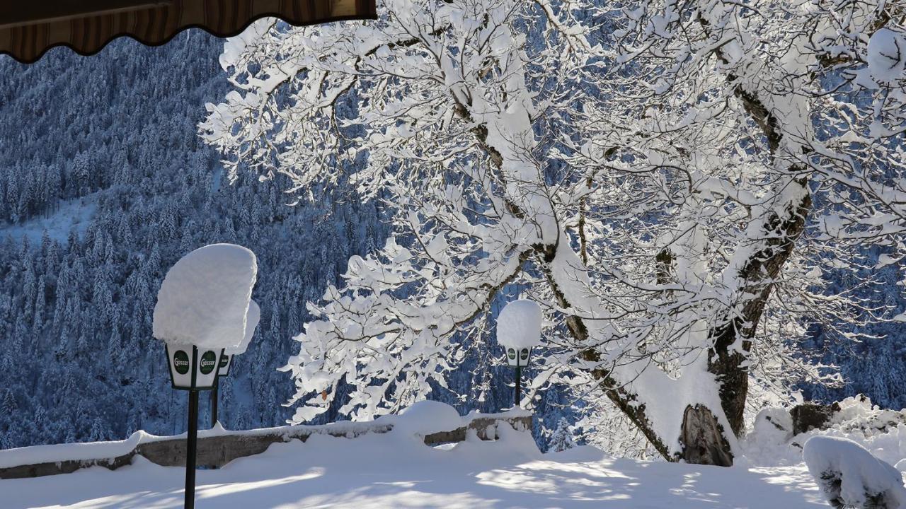 Gasthof Lamprechtbauer Kotschach-Mauthen Esterno foto
