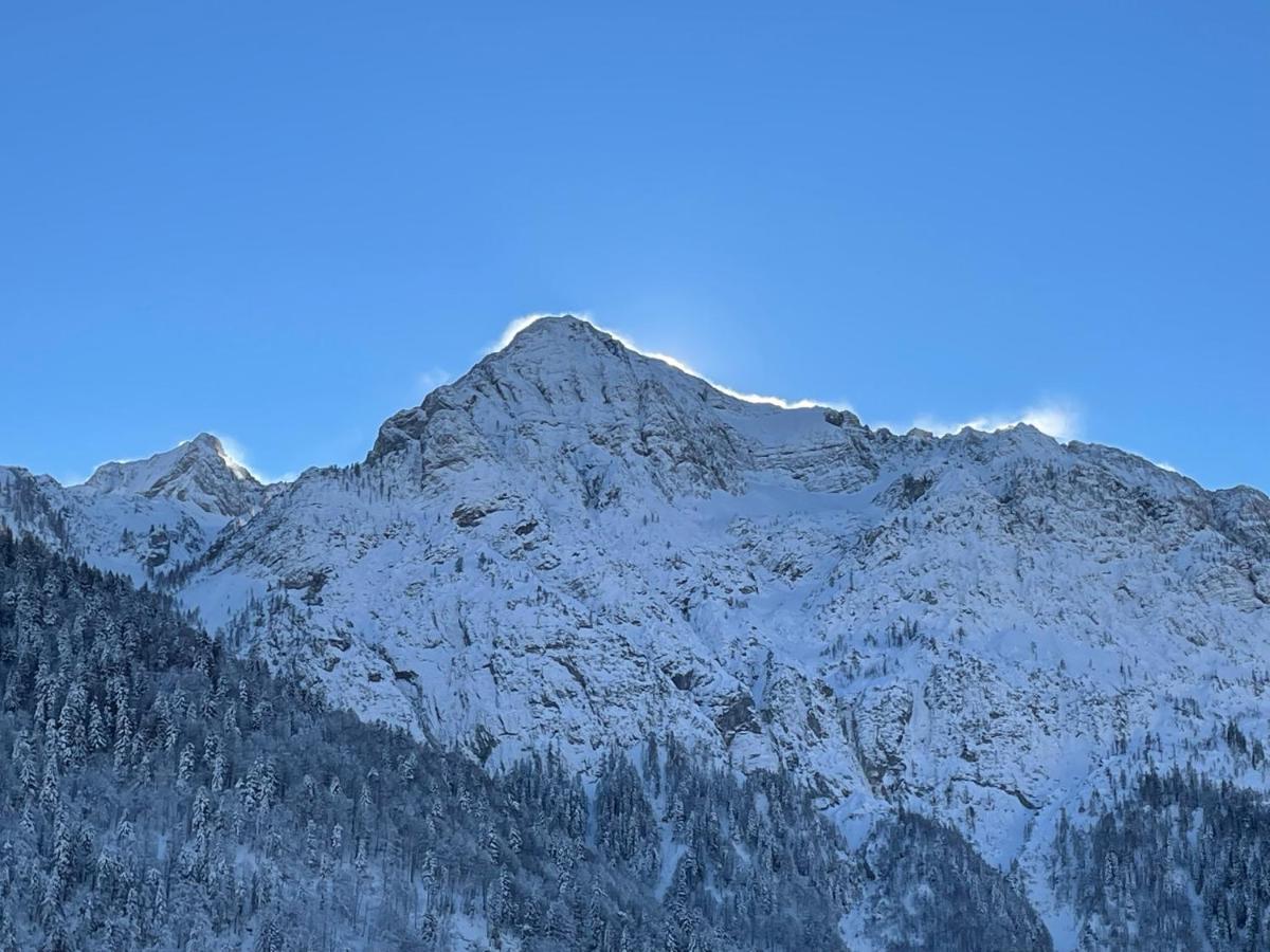 Gasthof Lamprechtbauer Kotschach-Mauthen Esterno foto